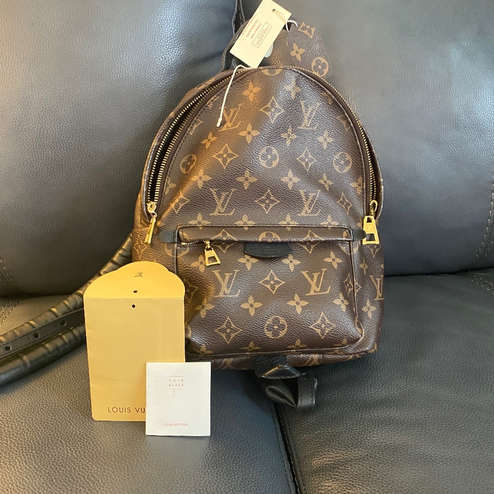 Authentic Louis Vuitton Monogram mini Palm Springs Backpack
